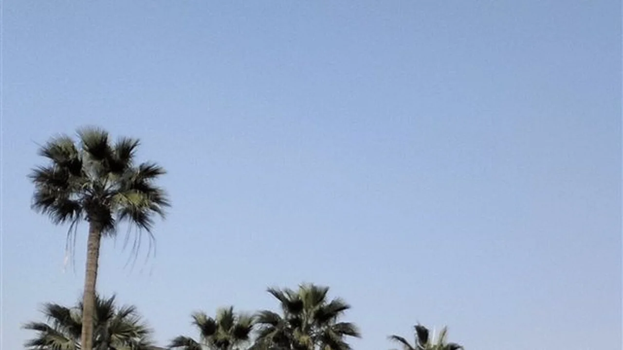 درجات حرارة معتدلة نهاراً وبرودة ليلية في طقس الغربية اليوم الخميس